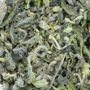 Cloud Mixer *(INDICA) SHAKE* Grade: AAA