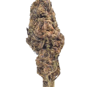 Forbidden Wine - Indica / Grade: 2A