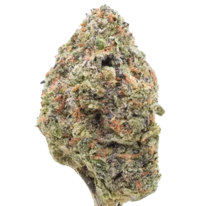 Bullz Eye - Hybrid / Grade: 4A+