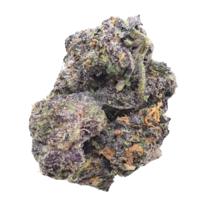 Gary Poppins - Hybrid / Grade: 4A